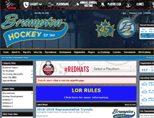 Tablet Screenshot of bramptonhockey.com